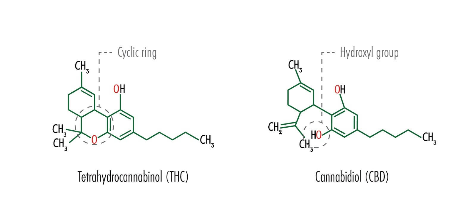 Difference between THC and CBD
