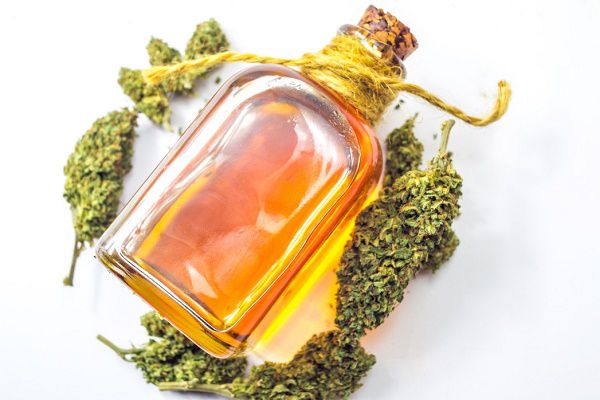 CBD oil and dried cannabis
