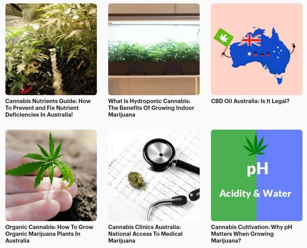 A range of topics covered by Cannabis Place