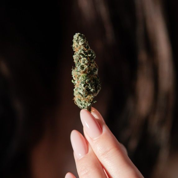 Woman holding cannabis bud