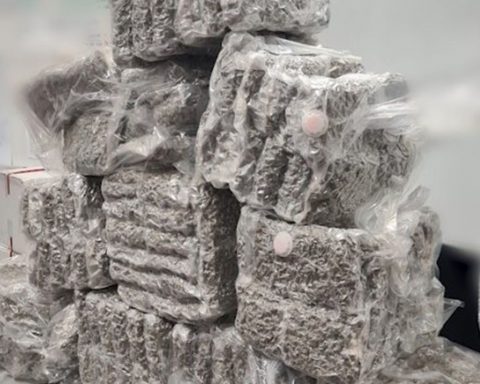 Cannabis bricks caught by Queensland police