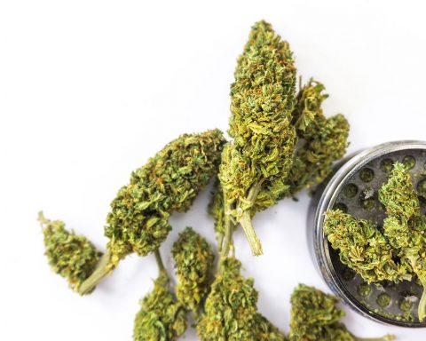 Cannabis buds and grinder