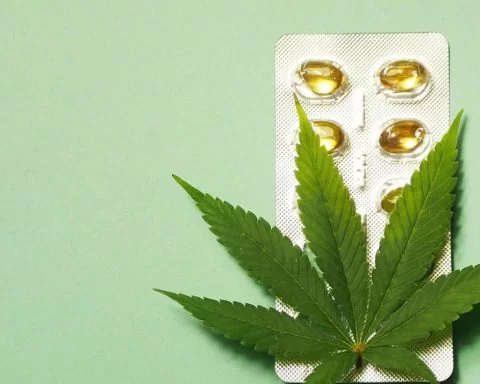 Cannabis leaf on top of pills