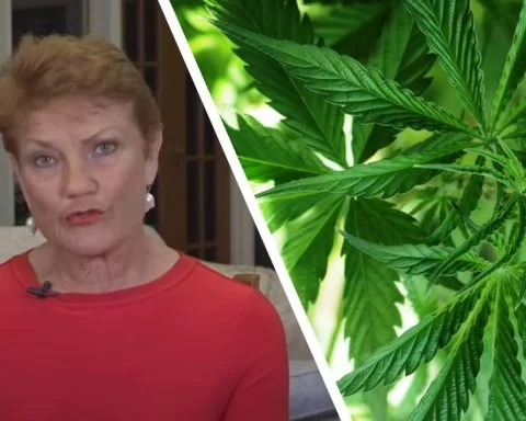 Pauline Hanson One Nation on cannabis legalisation in Australia
