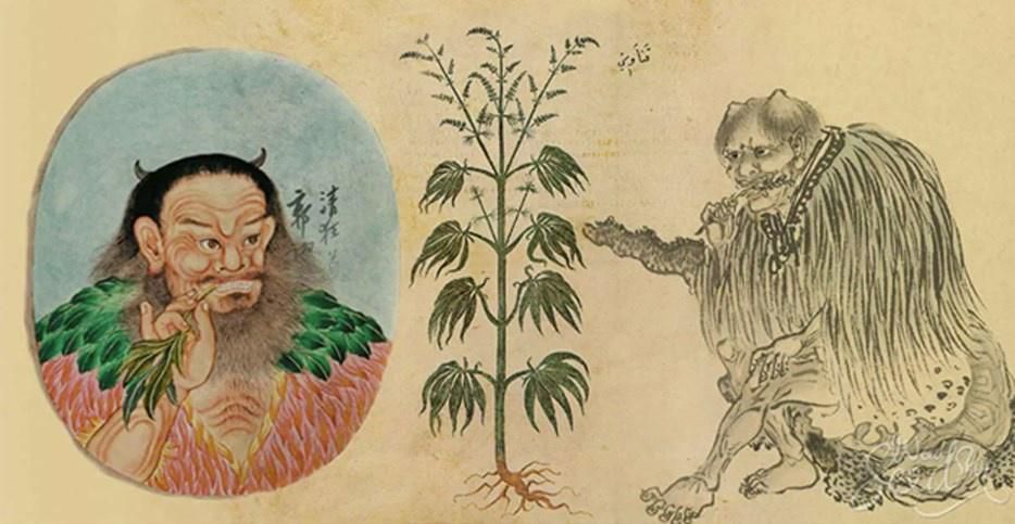 Cannabis depictions in ancient China