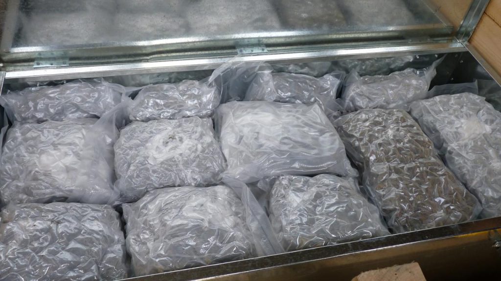 Stacks of vacuum sealed cannabis seized in SA
